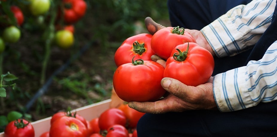 Bærekraftig utvikling