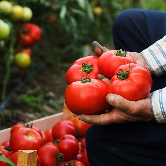 Bærekraftig utvikling