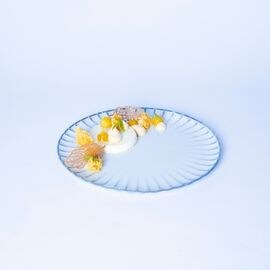 Sitronverbena panna cotta, crispy mango sukkerbrød og mangomousse Sitronverbena panna cotta, crispy mango sukkerbrød og mangomousse