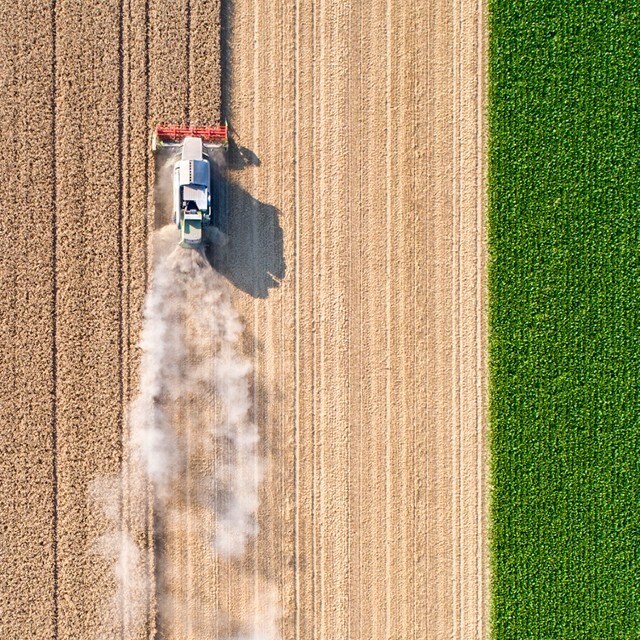 Slik påvirker valget av ingredienser planeten vår 