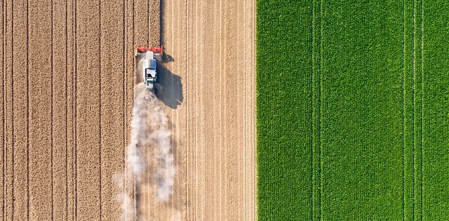Slik påvirker valget av ingredienser planeten vår 
