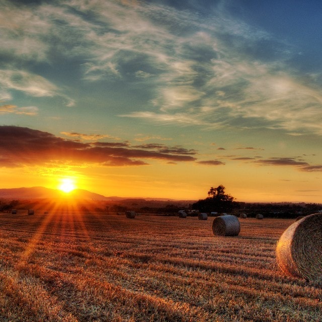 Hva innebærer bærekraft?