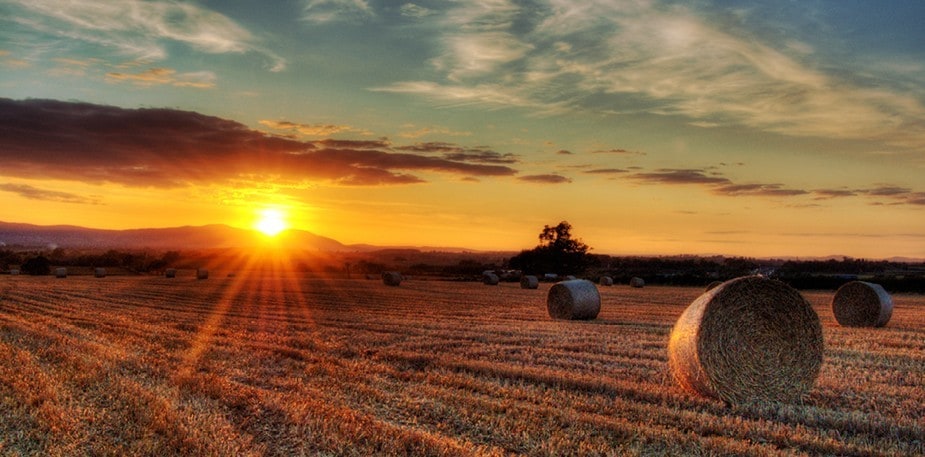 Hva innebærer bærekraft?