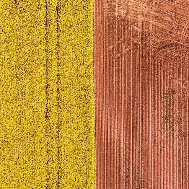 Heia biodiversiteten!