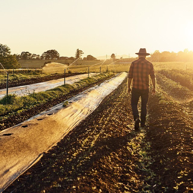 Hva gjør vi for å fremme biologisk mangfold