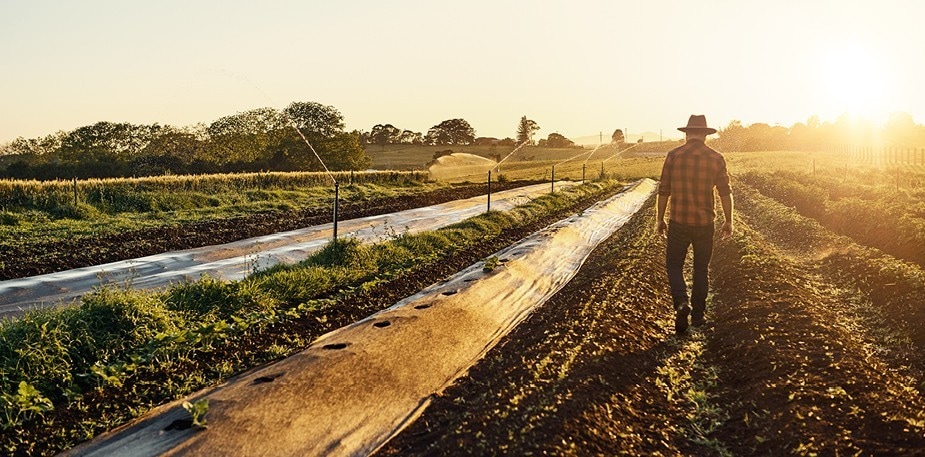 Hva gjør vi for å fremme biologisk mangfold