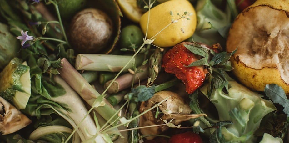 Verdens matvaresystem er ikke bærekraftig