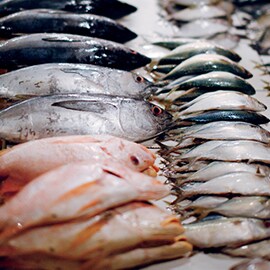 7. Fish 7. Fish