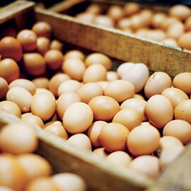 6. Eggs 6. Eggs