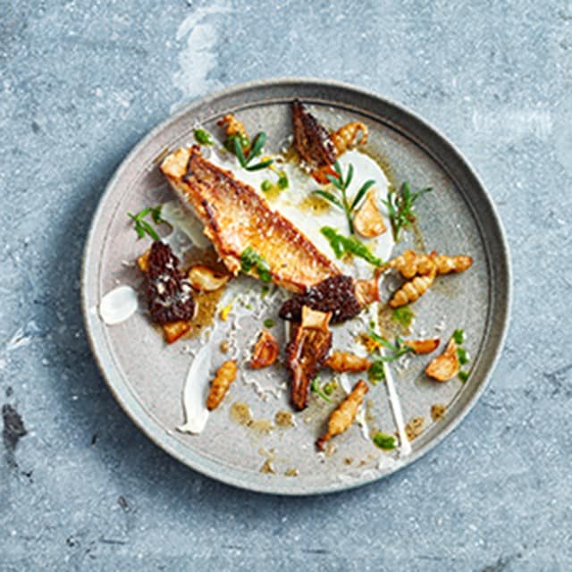 8 Modern Food Plating Ideas & Styles 