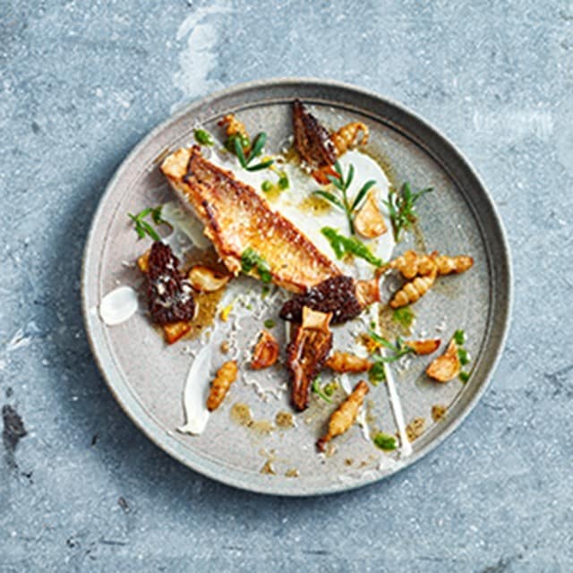 8 Modern Food Plating Ideas & Styles 