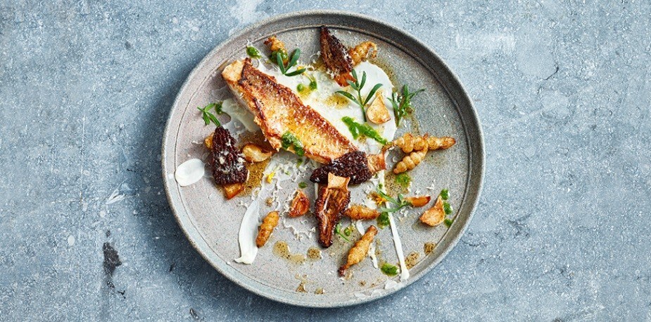 8 Modern Food Plating Ideas & Styles 