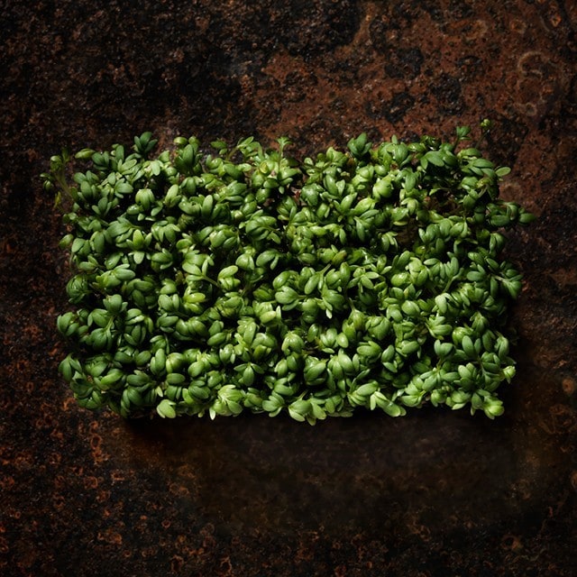 Spiren, en liten næringsbombe klar til å eksplodere.  