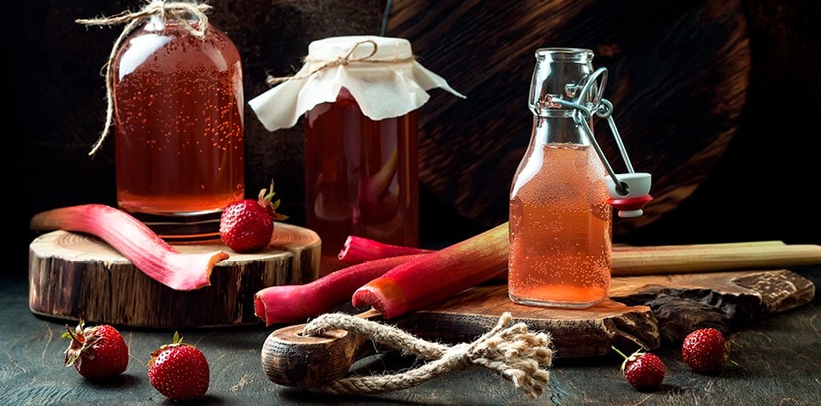 Kombucha for nybegynnere