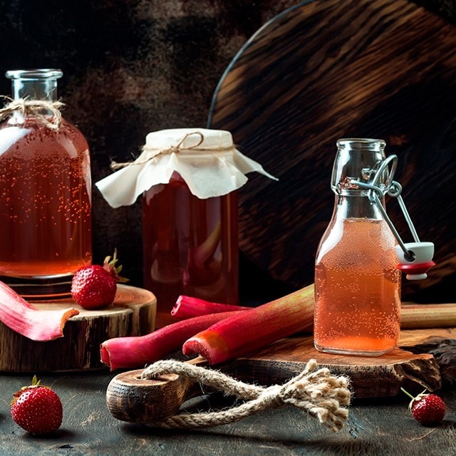 Kombucha for nybegynnere