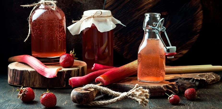 Kombucha for nybegynnere