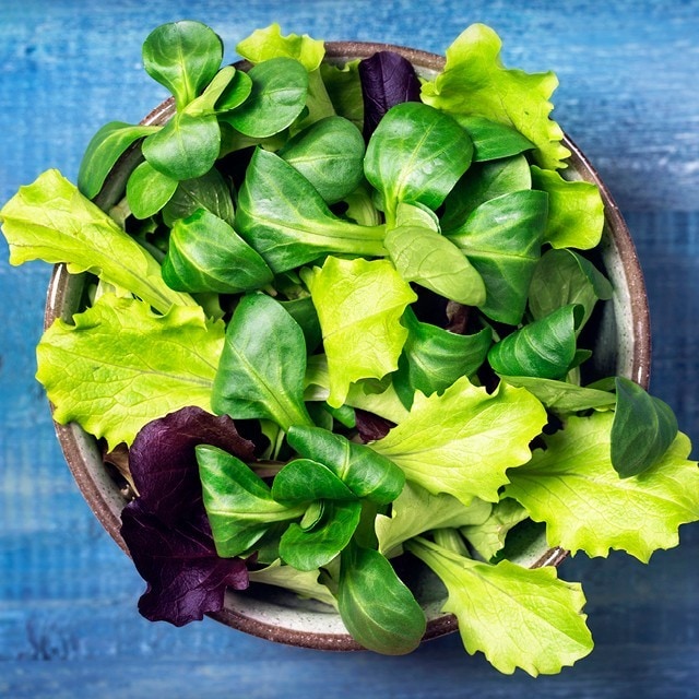 Salat i lange baner!