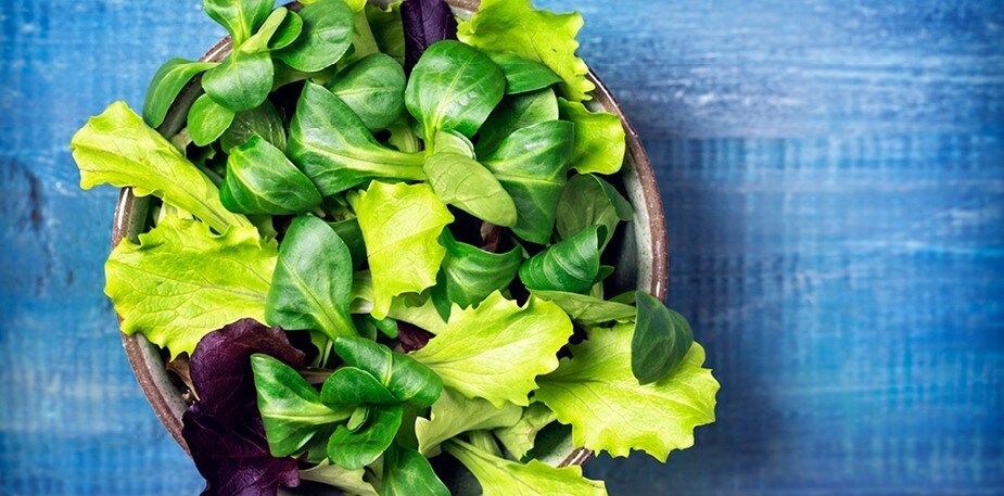 Salat i lange baner!