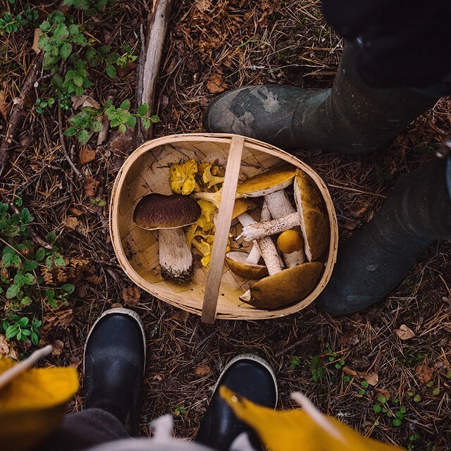 Skattekammeret har åpent!