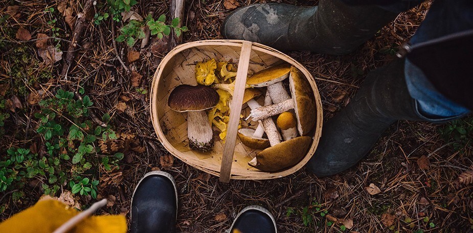 Skattekammeret har åpent!