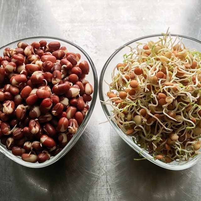 Spir løs med Martina!