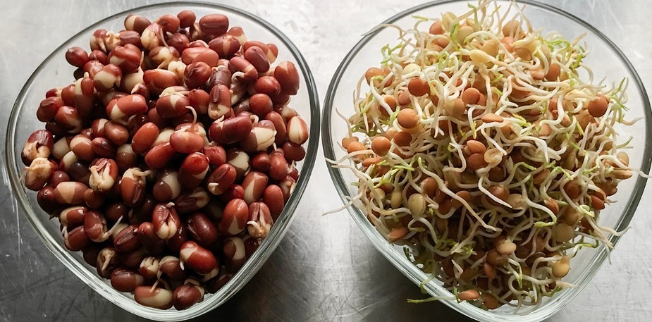 Spir løs med Martina!