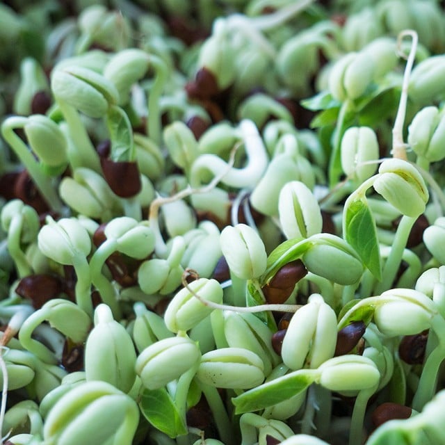 Spir i vei, men spir på en trygg måte!