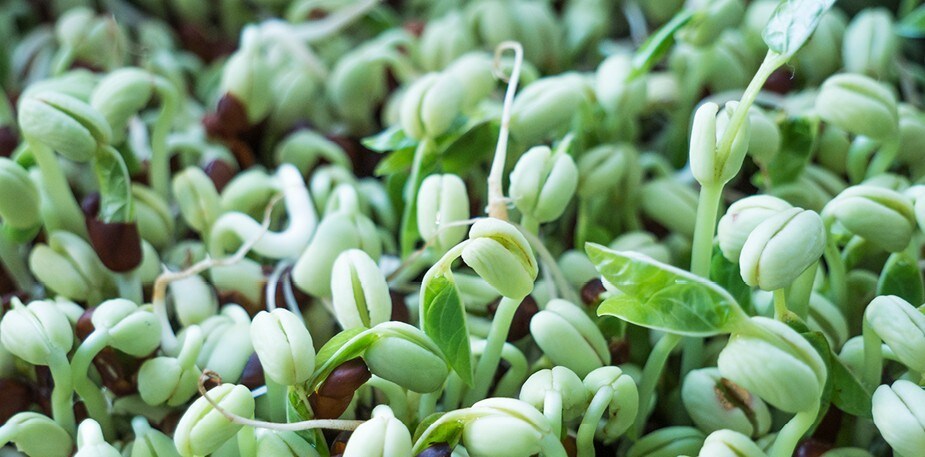 Spir i vei, men spir på en trygg måte!