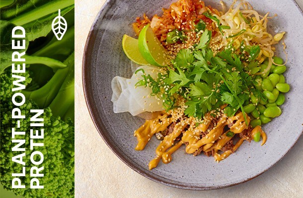 Plant powered protin