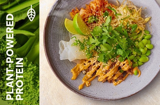 Plant powered protin Plant powered protin