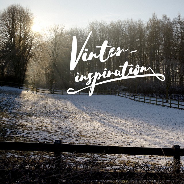 Bliv klar til julesæsonen